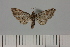  ( - HSS18234)  @11 [ ] Unspecified (default): All Rights Reserved  Unspecified Unspecified