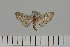  ( - HSS18234)  @11 [ ] Unspecified (default): All Rights Reserved  Unspecified Unspecified