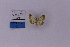  ( - HSS18240)  @11 [ ] Unspecified (default): All Rights Reserved  Unspecified Unspecified