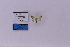  ( - HSS18253)  @11 [ ] Unspecified (default): All Rights Reserved  Unspecified Unspecified
