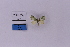  ( - HSS18255)  @11 [ ] Unspecified (default): All Rights Reserved  Unspecified Unspecified