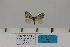  ( - HSS18255)  @11 [ ] Unspecified (default): All Rights Reserved  Unspecified Unspecified