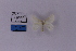  ( - HSS18256)  @11 [ ] Unspecified (default): All Rights Reserved  Unspecified Unspecified