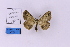  ( - HSS18321)  @11 [ ] Unspecified (default): All Rights Reserved  Unspecified Unspecified