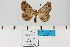  ( - HSS18321)  @11 [ ] Unspecified (default): All Rights Reserved  Unspecified Unspecified