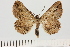  ( - HSS18321)  @11 [ ] Unspecified (default): All Rights Reserved  Unspecified Unspecified