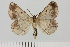 ( - HSS18321)  @11 [ ] Unspecified (default): All Rights Reserved  Unspecified Unspecified