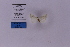  ( - HSS18322)  @11 [ ] Unspecified (default): All Rights Reserved  Unspecified Unspecified