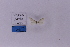 ( - HSS18363)  @11 [ ] Unspecified (default): All Rights Reserved  Unspecified Unspecified