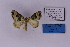 ( - HSS18440)  @11 [ ] Unspecified (default): All Rights Reserved  Unspecified Unspecified