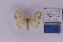  ( - HSS18619)  @11 [ ] Unspecified (default): All Rights Reserved  Unspecified Unspecified