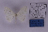  ( - HSS18638)  @11 [ ] Unspecified (default): All Rights Reserved  Unspecified Unspecified