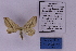  ( - HSS18707)  @11 [ ] Unspecified (default): All Rights Reserved  Unspecified Unspecified