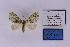  (Melanthiini - HSS18718)  @11 [ ] Unspecified (default): All Rights Reserved  Unspecified Unspecified