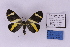  ( - HSS18738)  @11 [ ] Unspecified (default): All Rights Reserved  Unspecified Unspecified