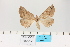  ( - HSS18912)  @11 [ ] Unspecified (default): All Rights Reserved  Unspecified Unspecified