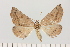  ( - HSS18912)  @11 [ ] Unspecified (default): All Rights Reserved  Unspecified Unspecified