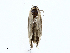  ( - CBG-A02841-A07)  @11 [ ] CreativeCommons - Attribution (2023) CBG Photography Group Centre for Biodiversity Genomics