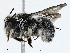  ( - CBG-A02896-F02)  @11 [ ] CreativeCommons - Attribution (2023) CBG Photography Group Centre for Biodiversity Genomics