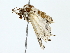 ( - BIOUG80722-C10)  @11 [ ] CreativeCommons - Attribution (2022) CBG Photography Group Centre for Biodiversity Genomics