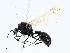  ( - CBG-A00363-G05)  @11 [ ] CreativeCommons - Attribution (2023) CBG Photography Group Centre for Biodiversity Genomics