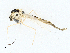  ( - CBG-A01226-H07)  @11 [ ] CreativeCommons - Attribution (2023) CBG Photography Group Centre for Biodiversity Genomics
