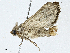  ( - CBG-A01200-E11)  @11 [ ] CreativeCommons - Attribution (2023) CBG Photography Group Centre for Biodiversity Genomics