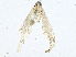  ( - CBG-A01200-G05)  @11 [ ] CreativeCommons - Attribution (2023) CBG Photography Group Centre for Biodiversity Genomics
