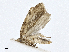  ( - CBG-A01225-B10)  @11 [ ] CreativeCommons - Attribution (2023) CBG Photography Group Centre for Biodiversity Genomics