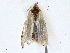  ( - CBG-A01225-C09)  @11 [ ] CreativeCommons - Attribution (2023) CBG Photography Group Centre for Biodiversity Genomics