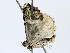  ( - CBG-A02843-B12)  @11 [ ] CreativeCommons - Attribution (2023) CBG Photography Group Centre for Biodiversity Genomics