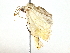  ( - BIOUG80717-H07)  @11 [ ] CreativeCommons - Attribution (2022) CBG Photography Group Centre for Biodiversity Genomics