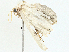  ( - BIOUG97786-A02)  @11 [ ] CreativeCommons - Attribution (2023) CBG Photography Group Centre for Biodiversity Genomics