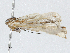  ( - CBG-A04444-C09)  @11 [ ] CreativeCommons - Attribution (2023) CBG Photography Group Centre for Biodiversity Genomics