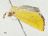  ( - CBG-A04444-H03)  @11 [ ] CreativeCommons - Attribution (2023) CBG Photography Group Centre for Biodiversity Genomics