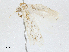  ( - CBG-A04445-C08)  @11 [ ] CreativeCommons - Attribution (2023) CBG Photography Group Centre for Biodiversity Genomics