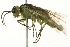  ( - 09PROBE-02766)  @13 [ ] CreativeCommons - Attribution (2010) Unspecified Centre for Biodiversity Genomics