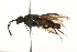  ( - 09PROBE-02773)  @13 [ ] CreativeCommons - Attribution (2010) Unspecified Centre for Biodiversity Genomics