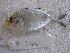  ( - SAIAB 78155-T344)  @14 [ ] Unspecified (default): All Rights Reserved  Unspecified Unspecified