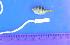  ( - SAIAB T7274)  @12 [ ] Unspecified (default): All Rights Reserved  Unspecified Unspecified