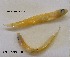  ( - GP8-522)  @12 [ ] Unspecified (default): All Rights Reserved  Unspecified Unspecified