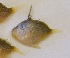  ( - GP8-548)  @12 [ ] Unspecified (default): All Rights Reserved  Unspecified Unspecified