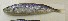  ( - GP8-596)  @12 [ ] Unspecified (default): All Rights Reserved  Unspecified Unspecified