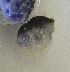  ( - GP8-673)  @12 [ ] Unspecified (default): All Rights Reserved  Unspecified Unspecified