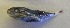  ( - GP8-681)  @12 [ ] Unspecified (default): All Rights Reserved  Unspecified Unspecified