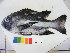  (Macolor - KNY2011-211)  @13 [ ] CreativeCommons - Attribution Non-Commercial Share-Alike (2011) SAIAB SAIAB
