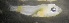  ( - ADC14-063)  @12 [ ] CreativeCommons - Attribution Non-Commercial (2015) Unspecified SAIAB