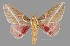  ( - UCOL 5842)  @11 [ ] Unspecified (default): All Rights Reserved  Unspecified Unspecified
