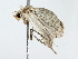  ( - BIOUG80722-F12)  @11 [ ] CreativeCommons - Attribution (2022) CBG Photography Group Centre for Biodiversity Genomics