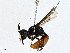  ( - CBG-A00263-C05)  @11 [ ] CreativeCommons - Attribution (2023) CBG Photography Group Centre for Biodiversity Genomics
